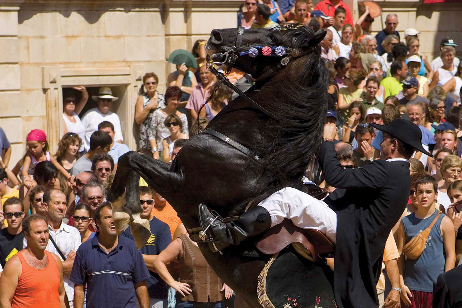 Jaleo con caballos en Menorca